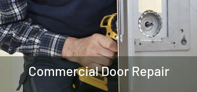 Commercial Door Repair